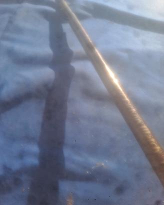 canna da pesca daiwa