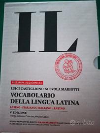 Dizionario 