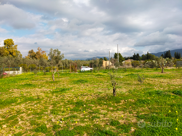 Terreno 2300 MQ recintato