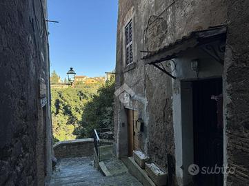 5 LOCALI A RONCIGLIONE