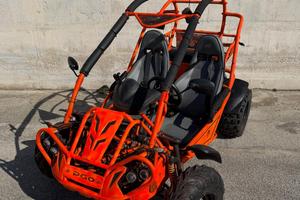 Buggy bugrider pgo