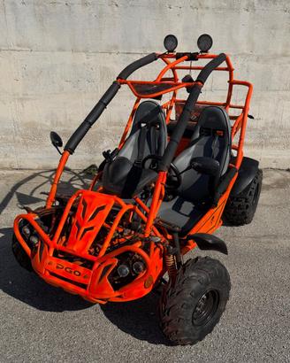 Buggy bugrider pgo