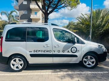 peugeot parter tepee