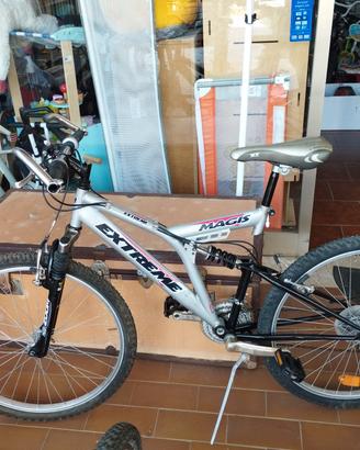 bicicletta 