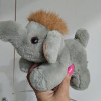 elefante trudy