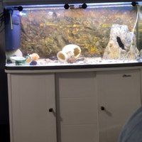 Acquario 300lt