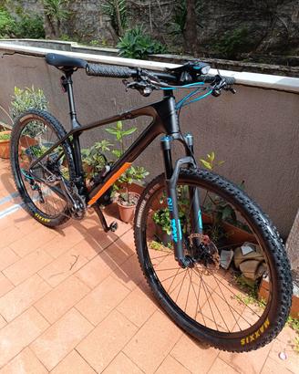 MTB Focus Raven