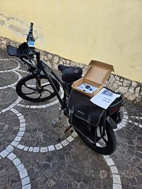 Bici elettrica freedom 