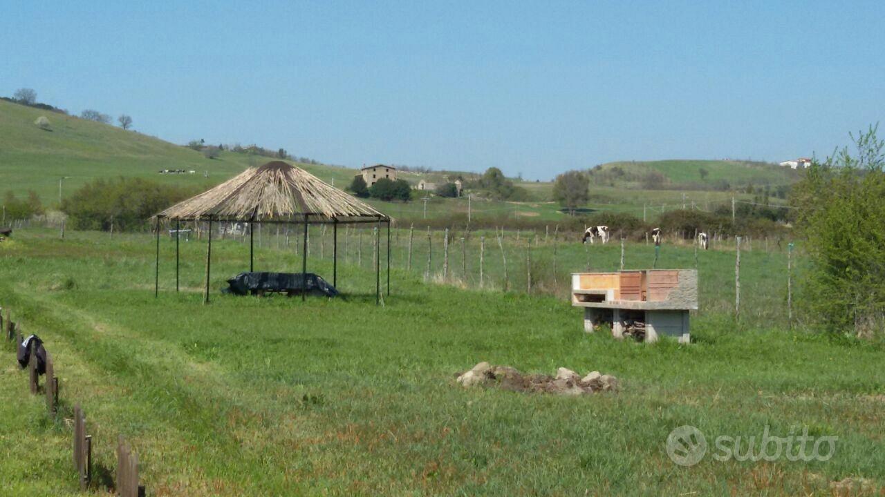 Terreno agricolo attrezzato - Vista 5
