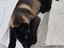 Immagine 4