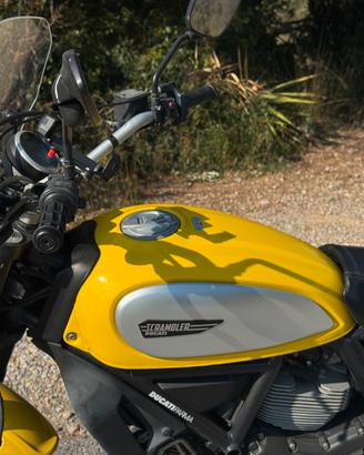 Ducati Scrambler 800 icon