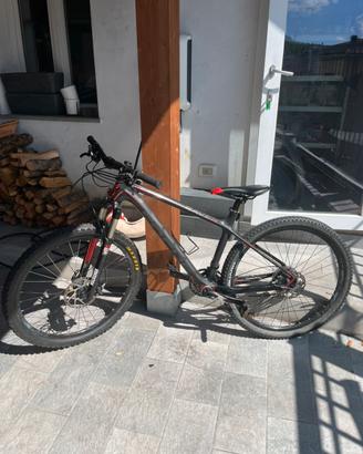 MTB Carbonio Focus Raven 27,5