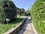 Immagine 7