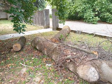 Tronchi d' albero, legna da ardere