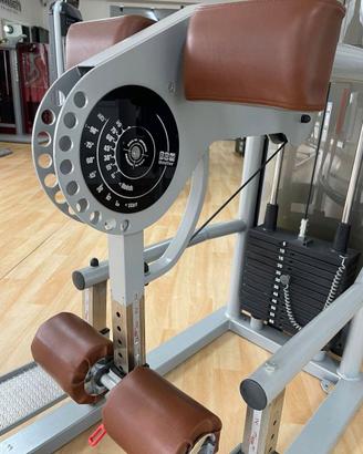 Standing Leg Curl