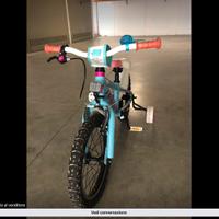 Haibike 12 in alluminio