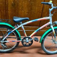 Bicicletta 20 pollici bambino bambina