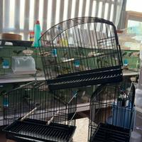 Gabbie di posizione per scotch della S.t.A.