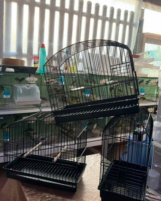 Gabbie di posizione per scotch della S.t.A.