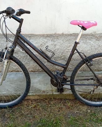 Bicicletta MTB