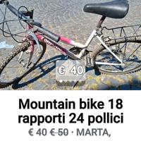 bicicletta