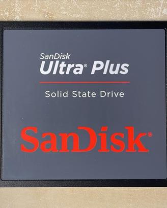 SanDisk Ultra Plus 256GB