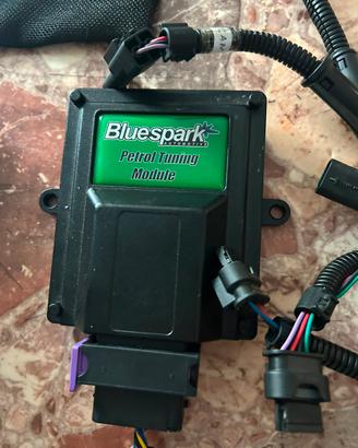 Centralina Bluespark Bmw serie 1 f20 motore b38