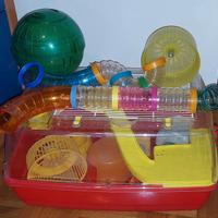 Gabbia roditore criceto usata piena di accessori