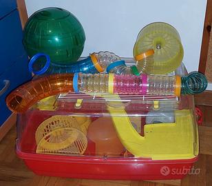 Gabbia roditore criceto usata piena di accessori