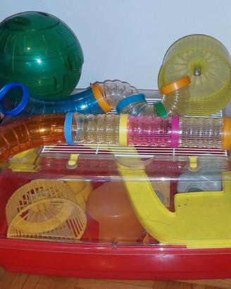 Gabbia roditore criceto usata piena di accessori