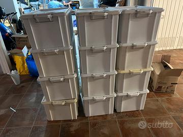 Box in plastica professionali