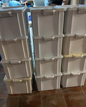 Box in plastica professionali