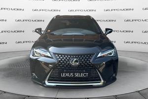 Lexus UX Hybrid Executive 2WD