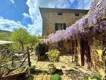 Rustico / Casale di 246 m² con più di 5 locali e b