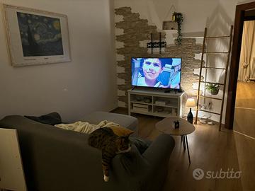 Bilocale con terrazzi Varese centro