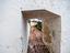 Immagine 24