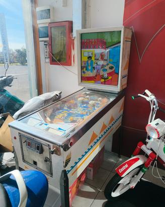flipper travel agency anni 70