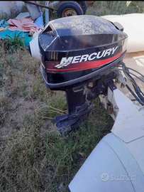 Motore mercury 15 cv 2 tempi + pilotina