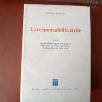 La responsabilità civile
- E. Bonvicini 
