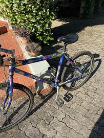 Bicicletta Mountain Bike