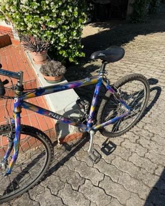 Bicicletta Mountain Bike