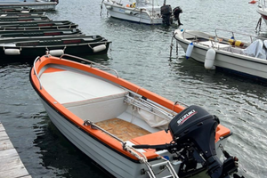 Lancia polacca suzuki df 20 a