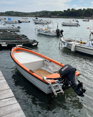 Lancia polacca suzuki df 20 a