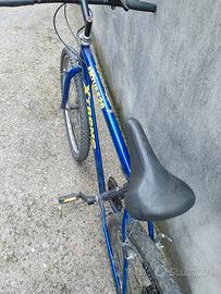 bicicletta