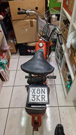 Motorella