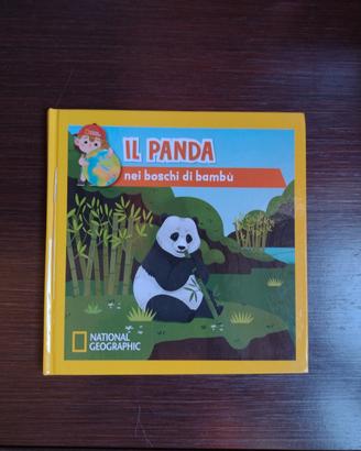 Il Panda nei boschi di bambù 