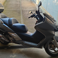 Silver Wing 600
