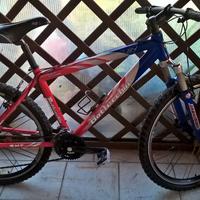 BICI MOUNTAIN BIKE BOTTECCHIA