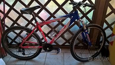 BICI MOUNTAIN BIKE BOTTECCHIA