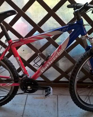 BICI MOUNTAIN BIKE BOTTECCHIA